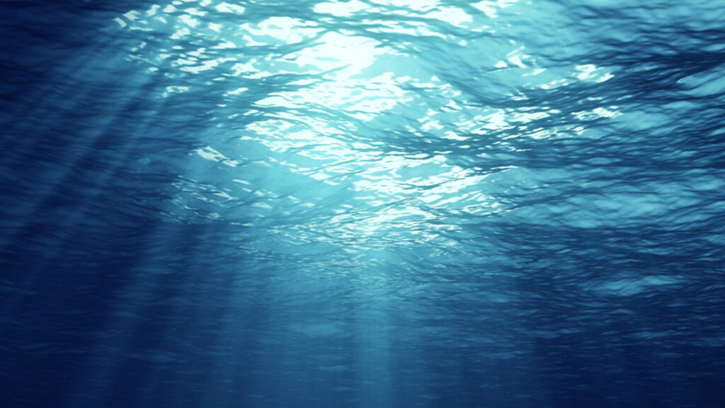 Risk And Control Self Assessment The How To Details Strategic